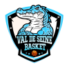 logo equipe VAL DE SEINE BASKET