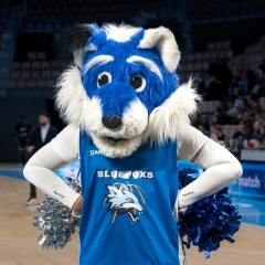 Image N°5 du produit